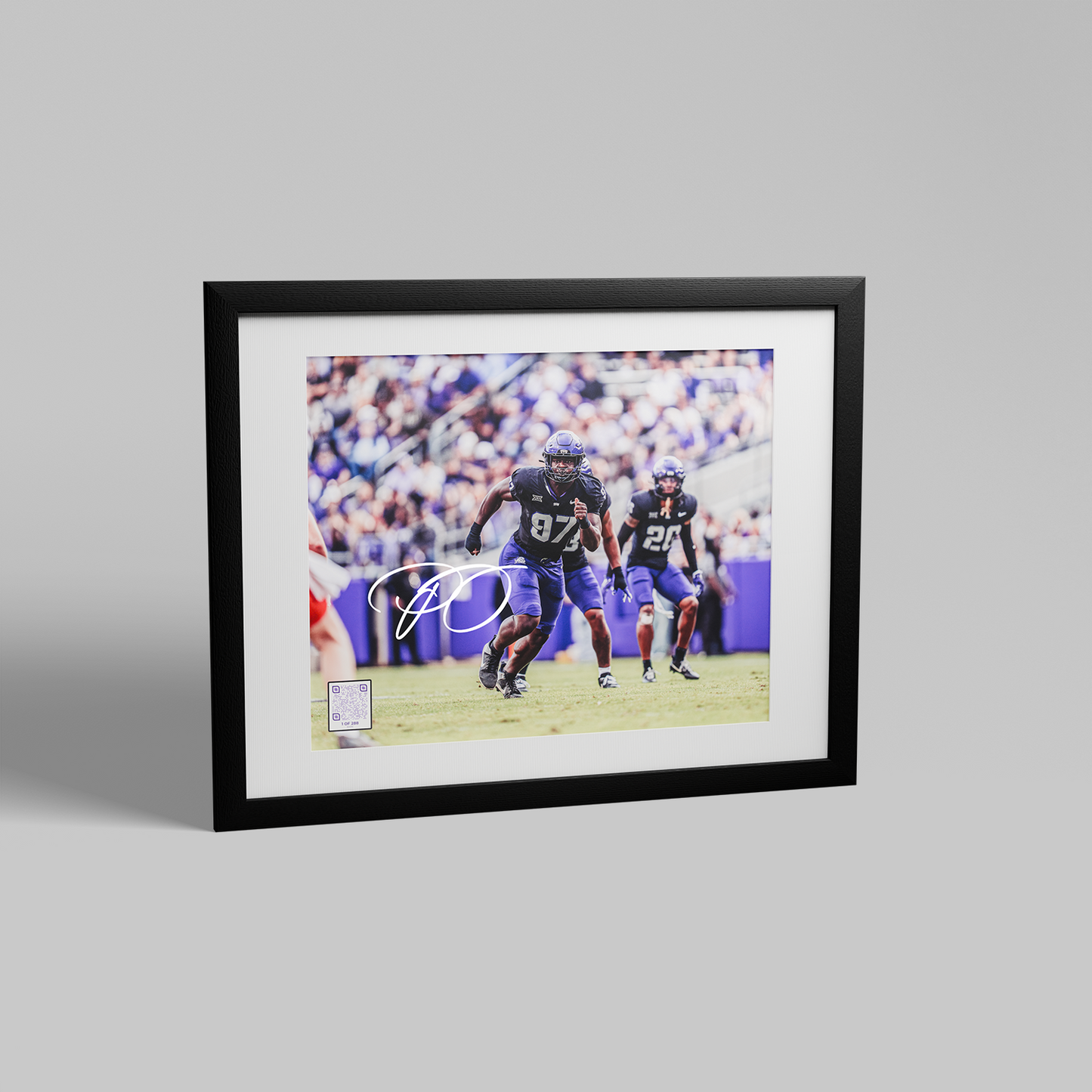 Horned Frogs Fanbox Membership